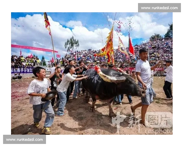 激情与传统碰撞 世界各地斗牛比赛的文化魅力与挑战